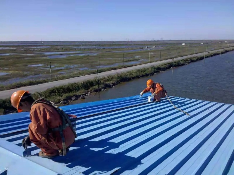 蕉城钢结构屋面漏水原因